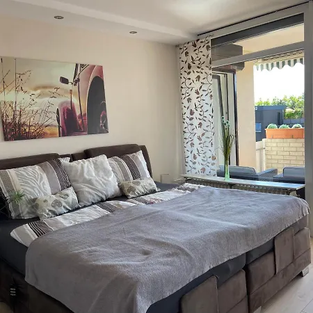 Live To Lion * Braunschweig