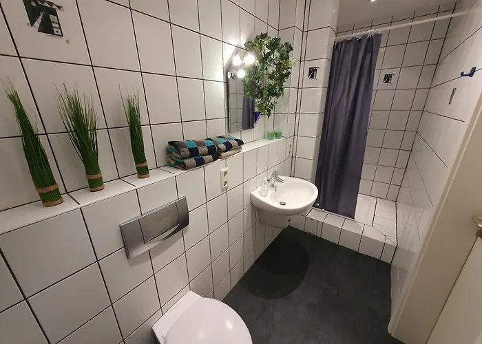 Live To Lion Braunschweig