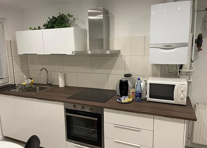 Live To Lion Braunschweig